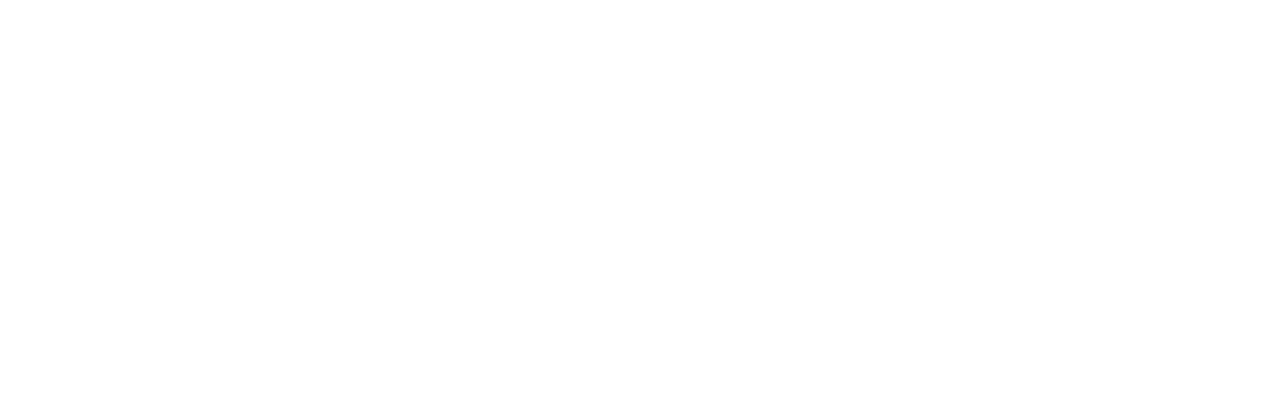 professional art